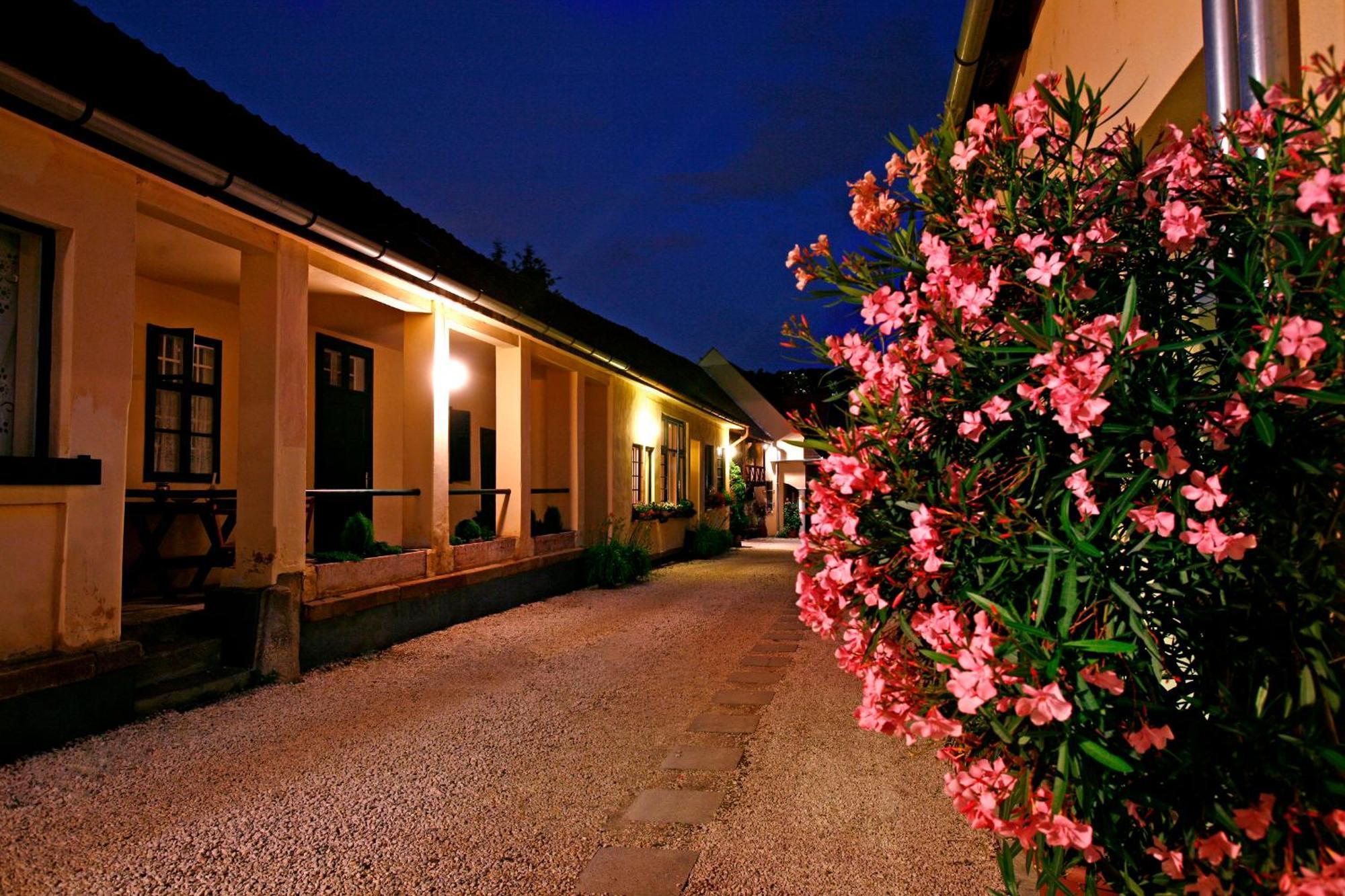 Keszi Panzio Hotel Budakeszi Luaran gambar